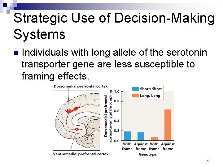 Strategic Use of Decision-Making Systems n Individuals with long allele of the serotonin transporter