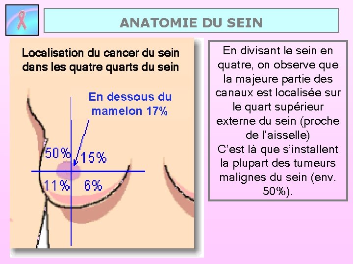 ANATOMIE DU SEIN Localisation du cancer du sein dans les quatre quarts du sein