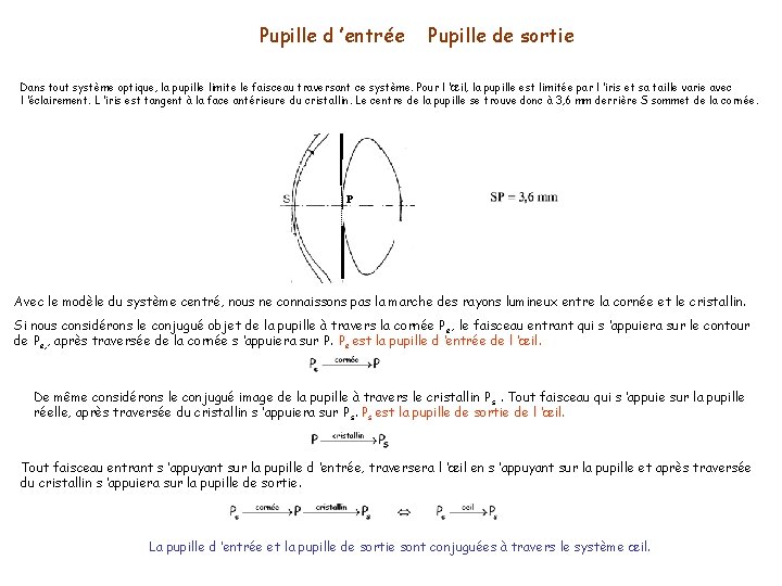 Pupille d ’entrée Pupille de sortie Dans tout système optique, la pupille limite le