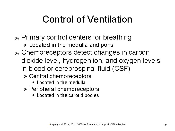 Control of Ventilation Primary control centers for breathing Ø Located in the medulla and
