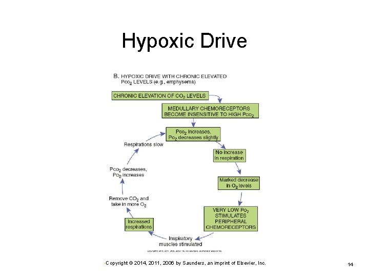 Hypoxic Drive • Copyright © 2014, 2011, 2006 by Saunders, an imprint of Elsevier,