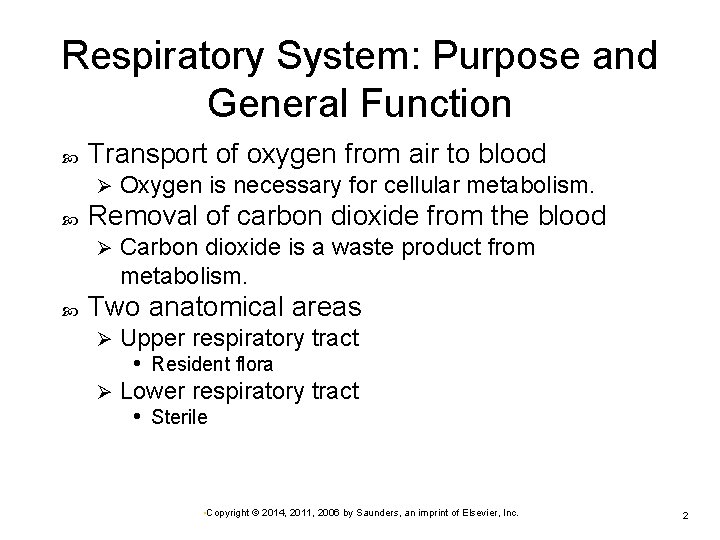 Respiratory System: Purpose and General Function Transport of oxygen from air to blood Ø