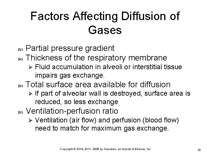 Factors Affecting Diffusion of Gases Partial pressure gradient Thickness of the respiratory membrane Ø