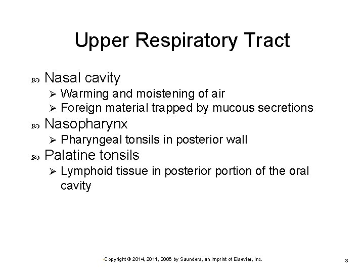 Upper Respiratory Tract Nasal cavity Ø Ø Nasopharynx Ø Warming and moistening of air