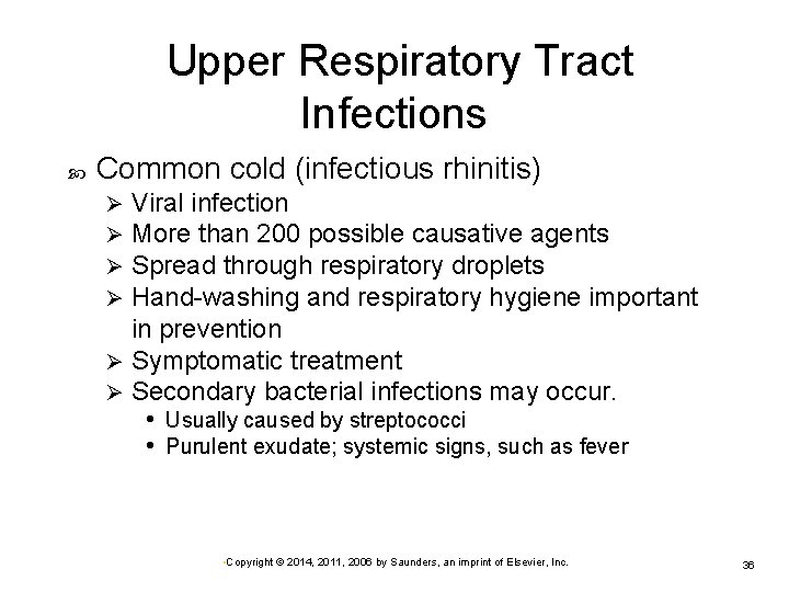 Upper Respiratory Tract Infections Common cold (infectious rhinitis) Viral infection More than 200 possible