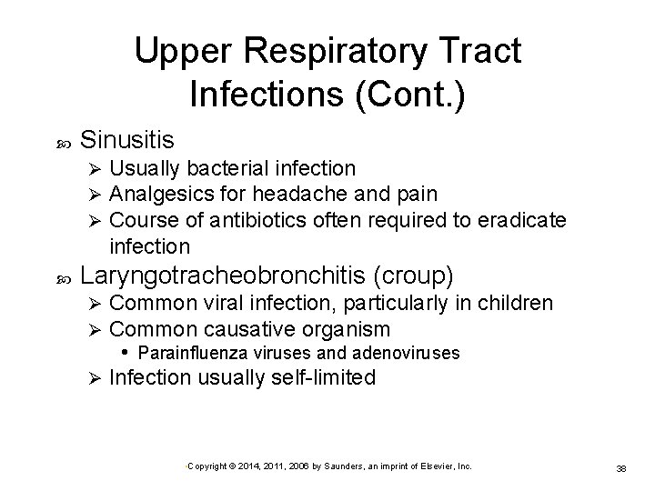 Upper Respiratory Tract Infections (Cont. ) Sinusitis Ø Ø Ø Usually bacterial infection Analgesics