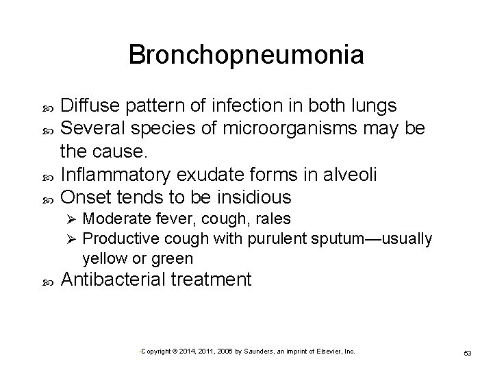 Bronchopneumonia Diffuse pattern of infection in both lungs Several species of microorganisms may be