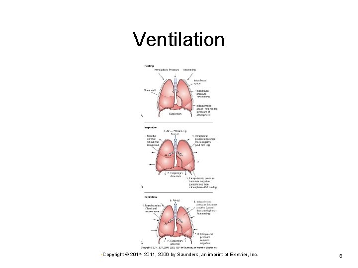 Ventilation • Copyright © 2014, 2011, 2006 by Saunders, an imprint of Elsevier, Inc.