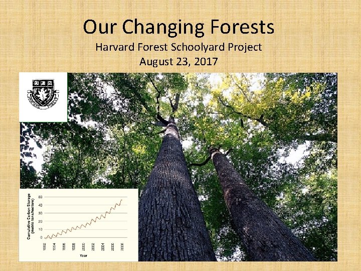 Our Changing Forests Harvard Forest Schoolyard Project August 23, 2017 Our Changing Forests Harvard Forest Schoolyard Project August 23, 2017