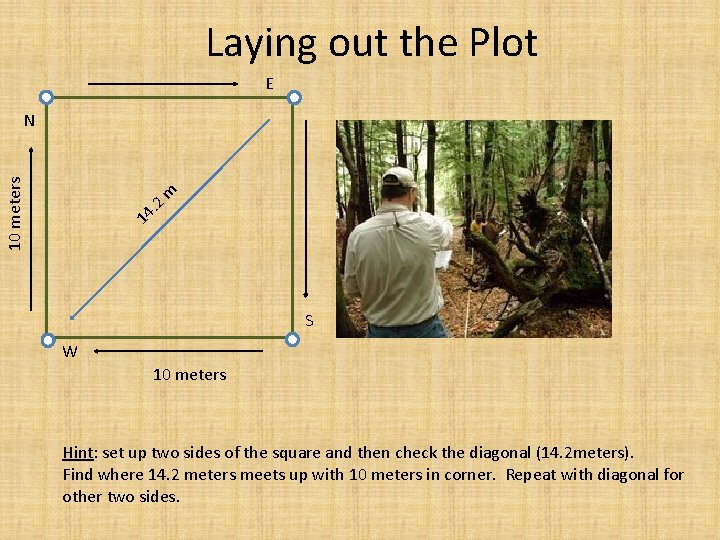 Laying out the Plot E 14 . 2 m 10 meters N S W Laying out the Plot E 14 . 2 m 10 meters N S W