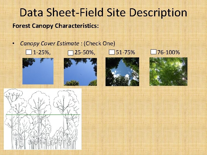 Data Sheet Field Site Description Forest Canopy Characteristics: • Canopy Cover Estimate : (Check Data Sheet Field Site Description Forest Canopy Characteristics: • Canopy Cover Estimate : (Check