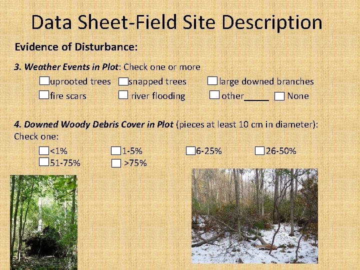 Data Sheet Field Site Description Evidence of Disturbance: 3. Weather Events in Plot: Check Data Sheet Field Site Description Evidence of Disturbance: 3. Weather Events in Plot: Check