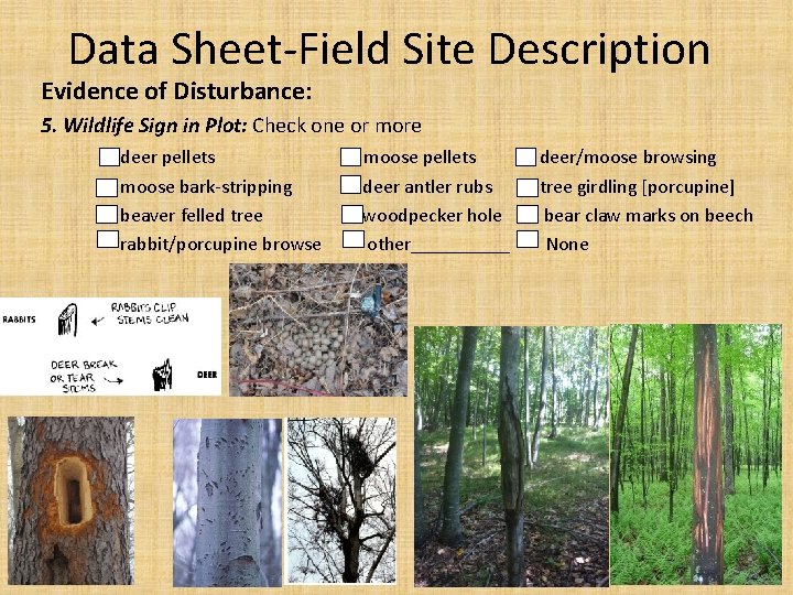 Data Sheet Field Site Description Evidence of Disturbance: 5. Wildlife Sign in Plot: Check Data Sheet Field Site Description Evidence of Disturbance: 5. Wildlife Sign in Plot: Check