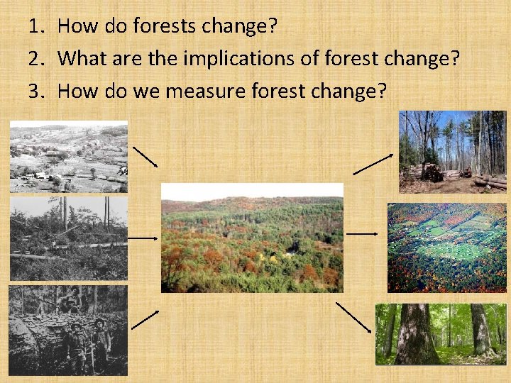 1. How do forests change? 2. What are the implications of forest change? 3. 1. How do forests change? 2. What are the implications of forest change? 3.