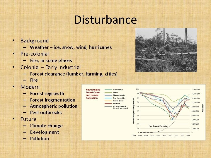Disturbance • Background – Weather – ice, snow, wind, hurricanes • Pre colonial – Disturbance • Background – Weather – ice, snow, wind, hurricanes • Pre colonial –