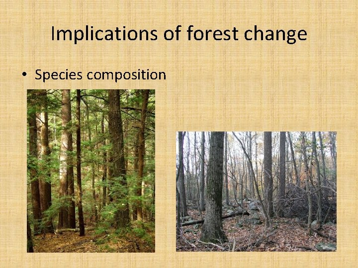 Implications of forest change • Species composition Implications of forest change • Species composition