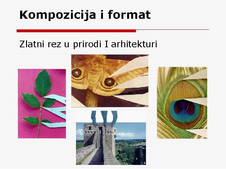 Kompozicija i format Zlatni rez u prirodi I arhitekturi 