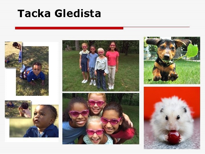 Tacka Gledista 