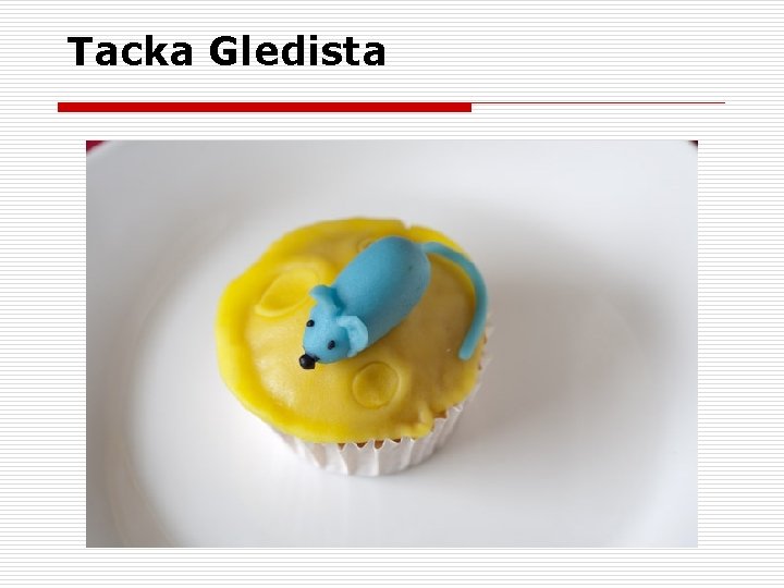 Tacka Gledista 