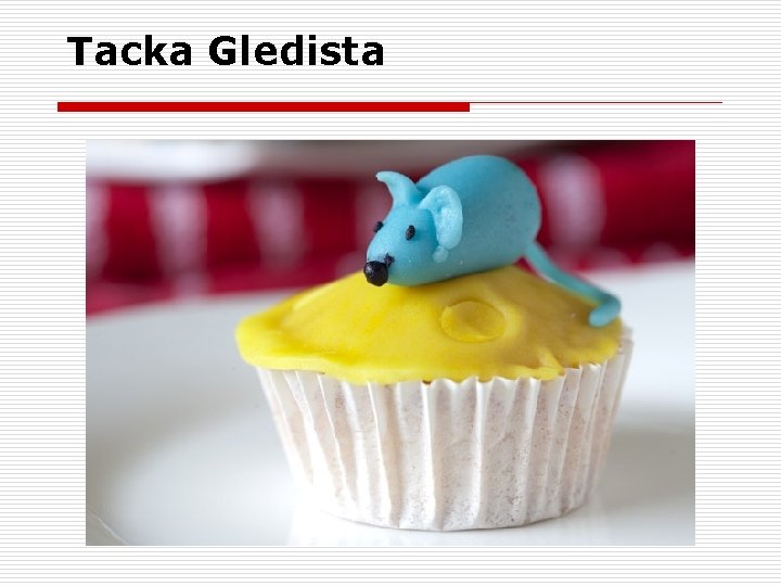 Tacka Gledista 