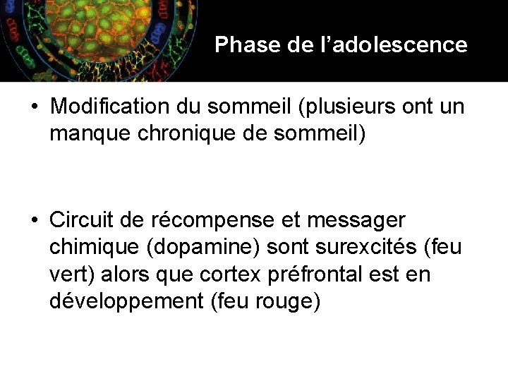 Phase de l’adolescence • Modification du sommeil (plusieurs ont un manque chronique de sommeil)