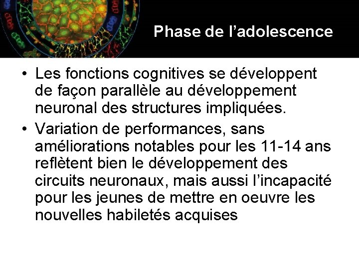 Phase de l’adolescence • Les fonctions cognitives se développent de façon parallèle au développement