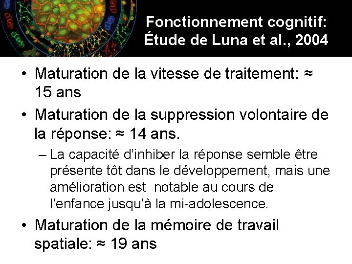 Fonctionnement cognitif: Étude de Luna et al. , 2004 • Maturation de la vitesse