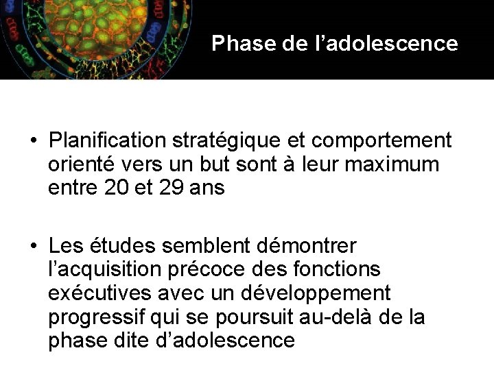 Phase de l’adolescence • Planification stratégique et comportement orienté vers un but sont à