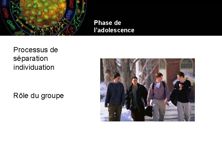 Phase de l’adolescence Processus de séparation individuation Rôle du groupe 