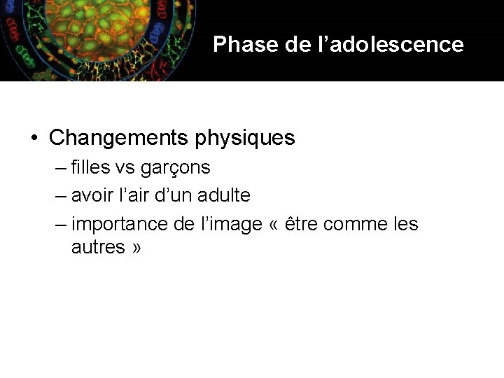 Phase de l’adolescence • Changements physiques – filles vs garçons – avoir l’air d’un