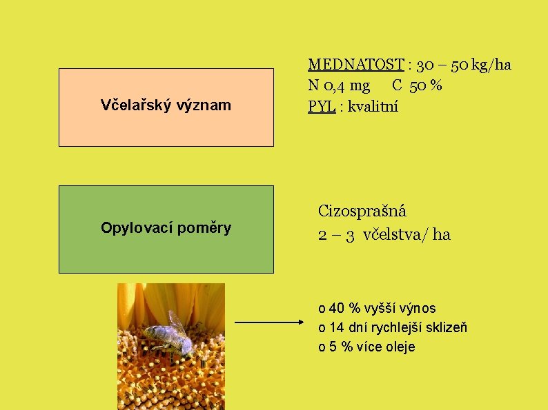 Včelařský význam Opylovací poměry MEDNATOST : 30 – 50 kg/ha N 0, 4 mg