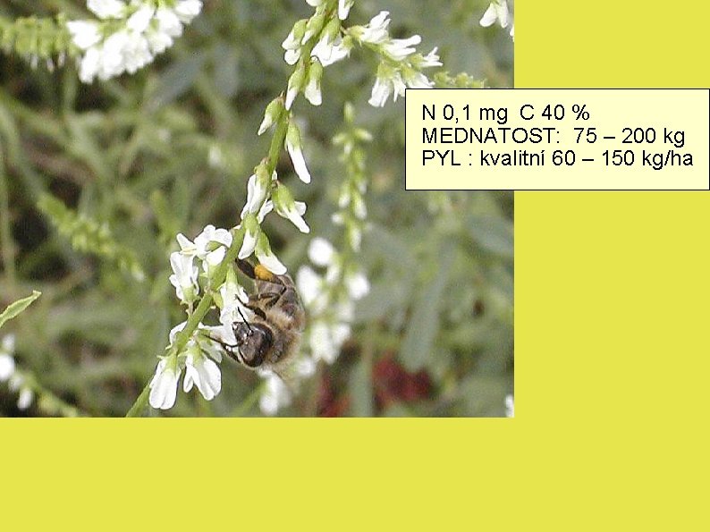N 0, 1 mg C 40 % MEDNATOST: 75 – 200 kg PYL :