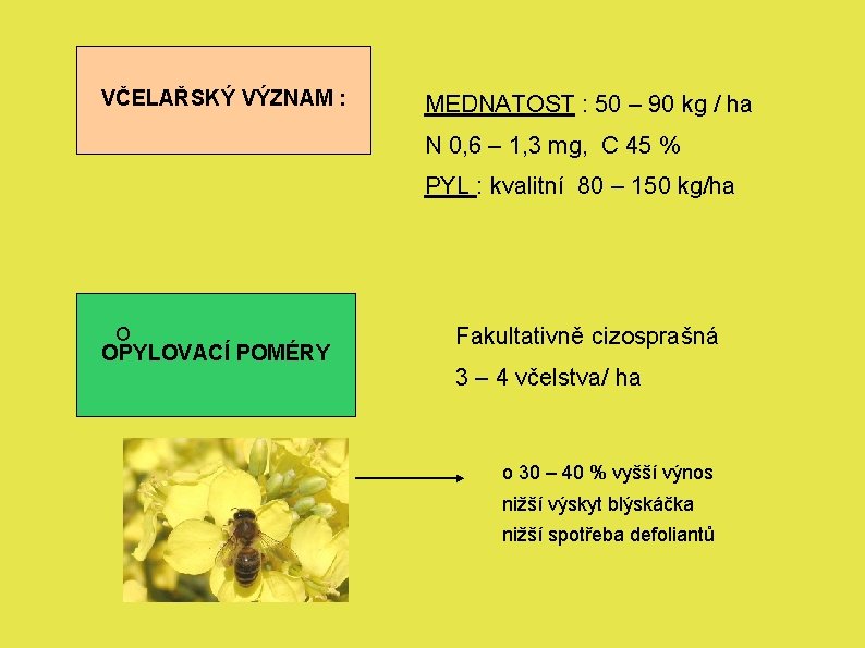 VČELAŘSKÝ VÝZNAM : MEDNATOST : 50 – 90 kg / ha N 0, 6