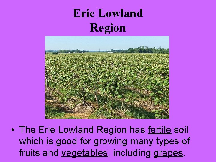 Erie Lowland Region • The Erie Lowland Region has fertile soil which is good