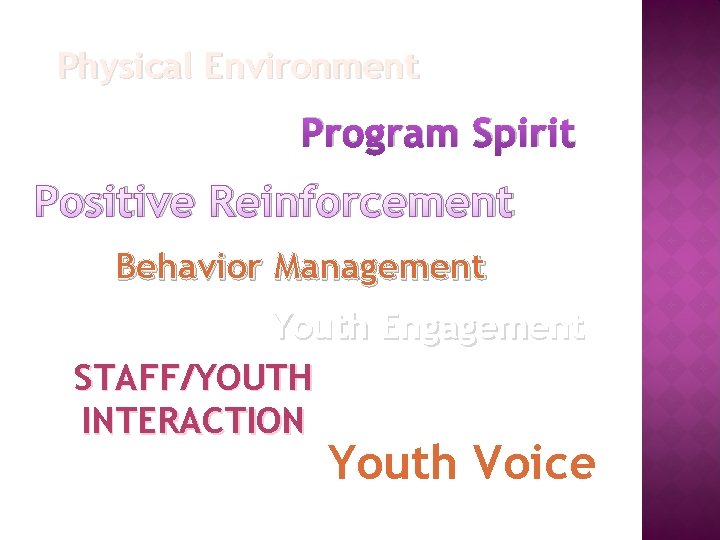 Physical Environment Program Spirit Positive Reinforcement Behavior Management Youth Engagement STAFF/YOUTH INTERACTION Youth Voice