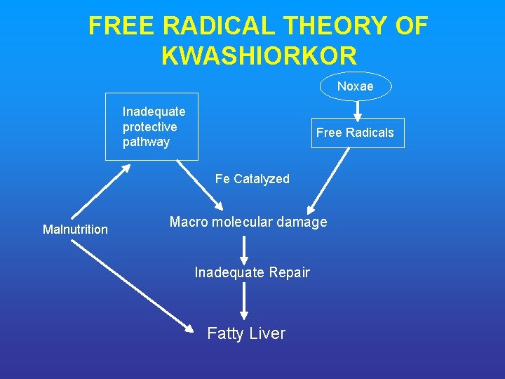 FREE RADICAL THEORY OF KWASHIORKOR Noxae Inadequate protective pathway Free Radicals Fe Catalyzed Malnutrition