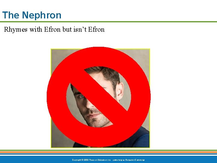 The Nephron Rhymes with Efron but isn’t Efron Copyright © 2009 Pearson Education, Inc.