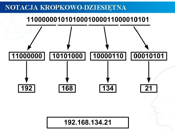 NOTACJA KROPKOWO-DZIESIĘTNA 