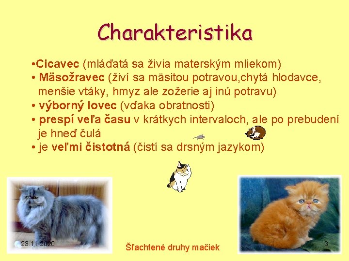 Charakteristika • Cicavec (mláďatá sa živia materským mliekom) • Mäsožravec (živí sa mäsitou potravou,
