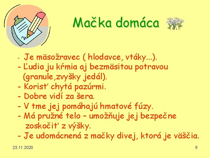 Mačka domáca Je mäsožravec ( hlodavce, vtáky. . . ). - Ľudia ju kŕmia