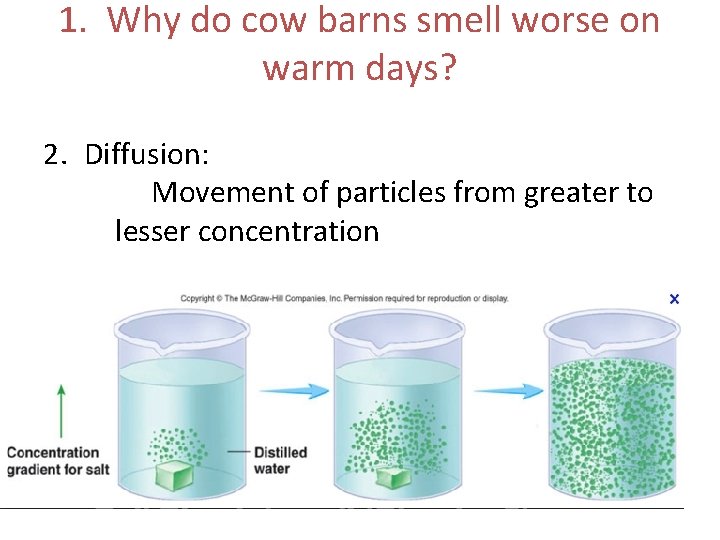 1. Why do cow barns smell worse on warm days? 2. Diffusion: Movement of