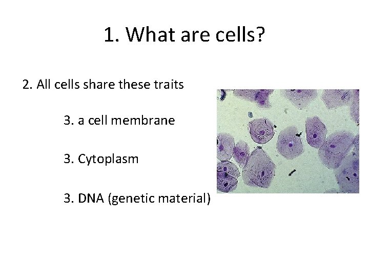 1. What are cells? 2. All cells share these traits 3. a cell membrane