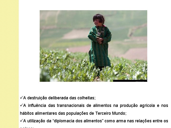 üA destruição deliberada das colheitas; üA influência das transnacionais de alimentos na produção agrícola