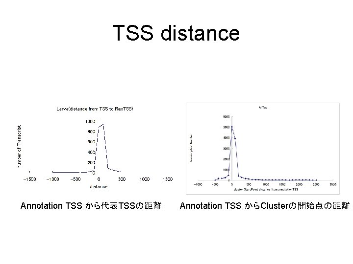 TSS distance Annotation TSS から代表TSSの距離 Annotation TSS からClusterの開始点の距離 