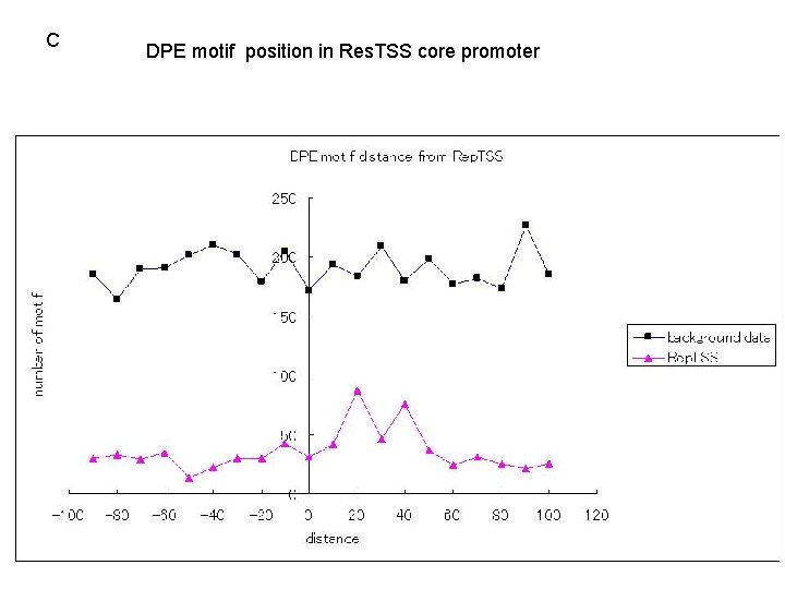 C DPE motif position in Res. TSS core promoter 