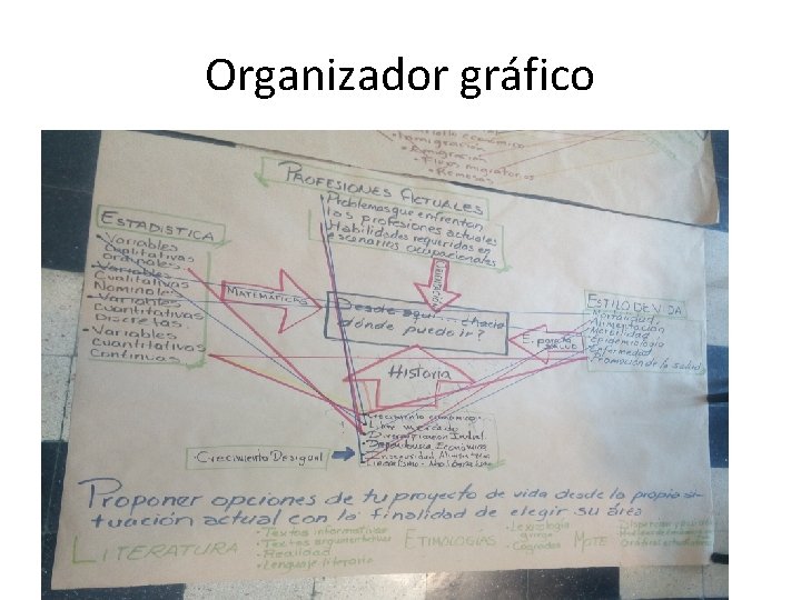 Organizador gráfico 