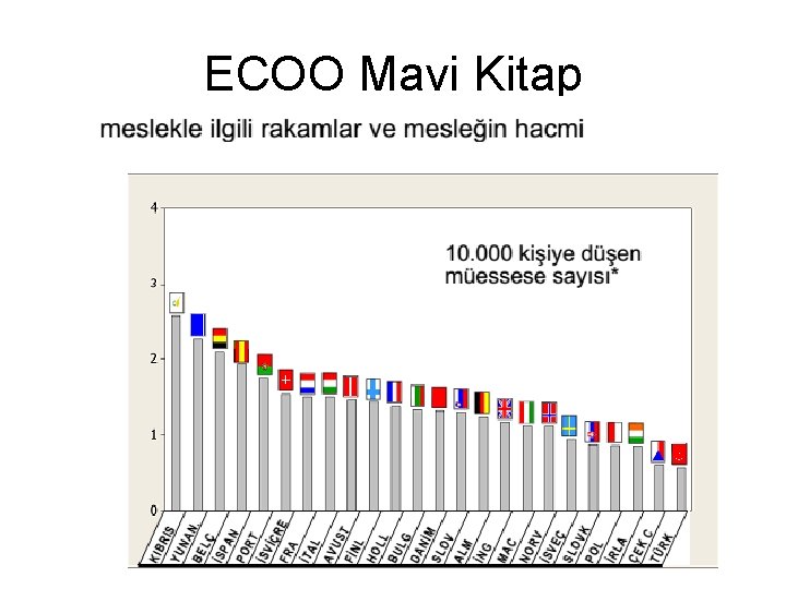 ECOO Mavi Kitap 