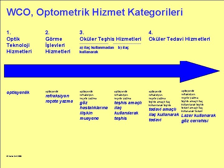 WCO, Optometrik Hizmet Kategorileri 1. Optik Teknoloji Hizmetleri 2. Görme İşlevleri Hizmetleri 3. Oküler