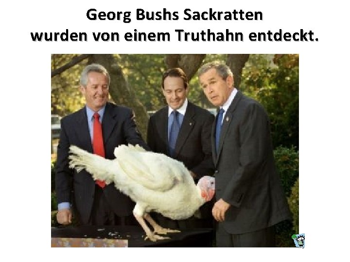 Georg Bushs Sackratten wurden von einem Truthahn entdeckt. 