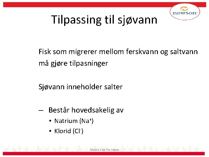 Tilpassing til sjøvann Fisk som migrerer mellom ferskvann og saltvann må gjøre tilpasninger Sjøvann